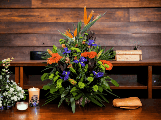 jmk tropica arrangement