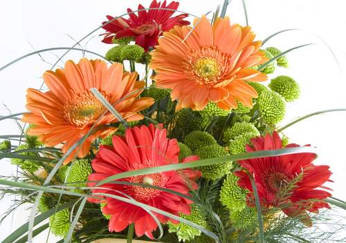 All Around The World JMK Florist