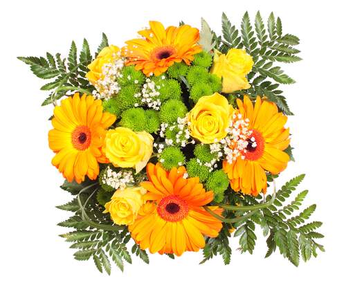Lemonade JMK Florist