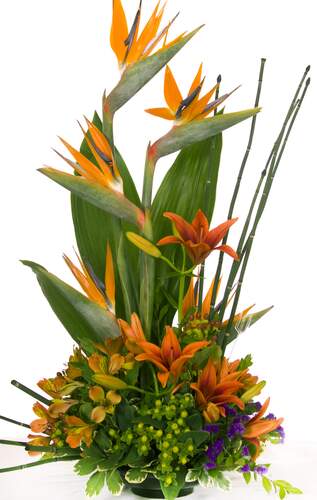 Limitless JMK Florist