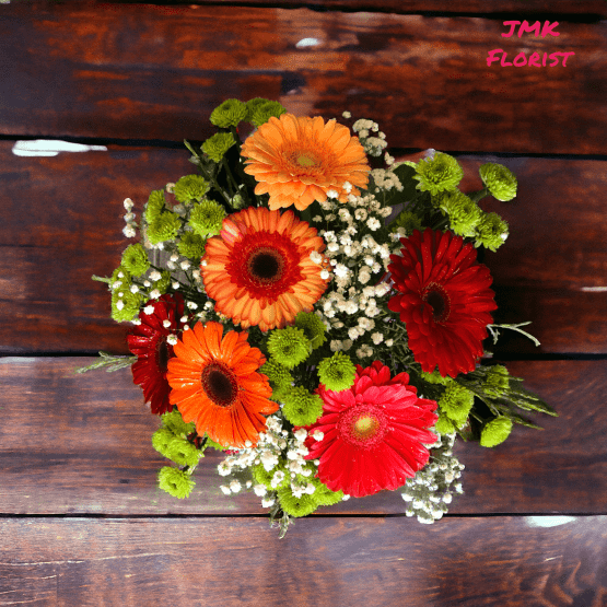 jmk gerbera