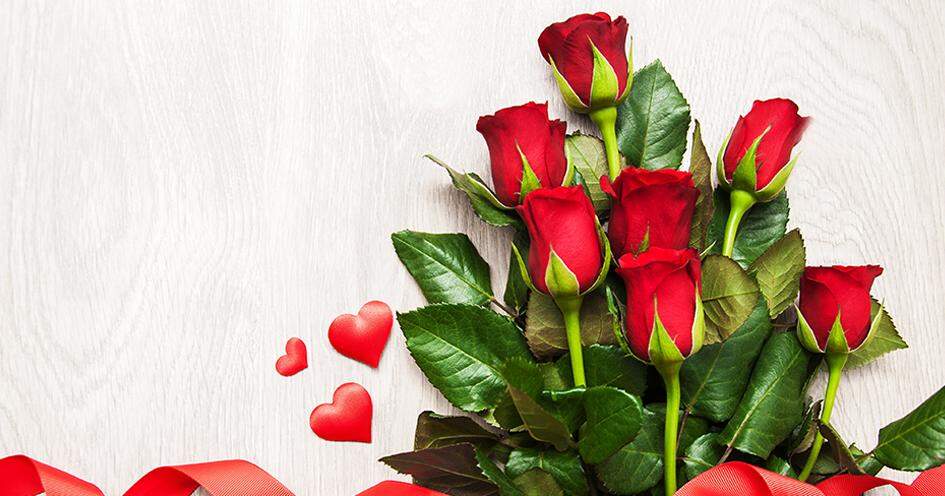 red roses Calgary florist